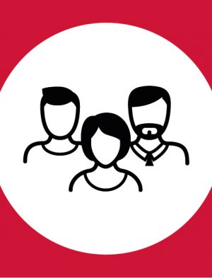 vektoren_colours_website-04