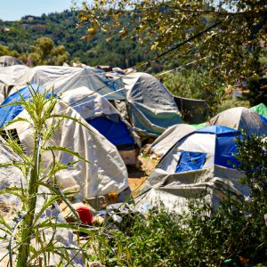 190503-OGCD-NH--P1090398