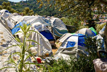 190503-OGCD-NH--P1090398